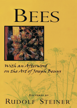 Imagen de portada: Bees 1st edition 9780880104579