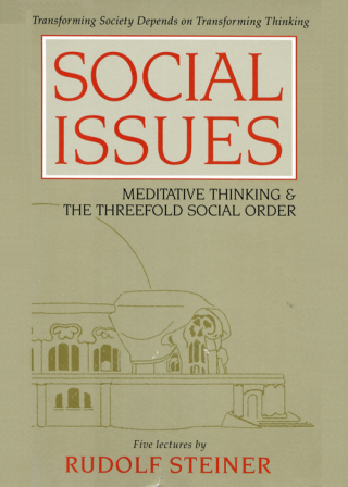 Imagen de portada: Social Issues 1st edition 9780880103589