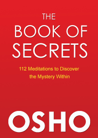 Imagen de portada: The Book of Secrets 9780312650605