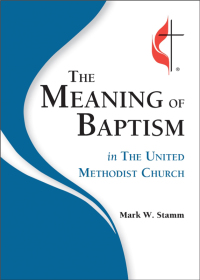 Omslagafbeelding: The Meaning of Baptism in the United Methodist Church 9780881778854