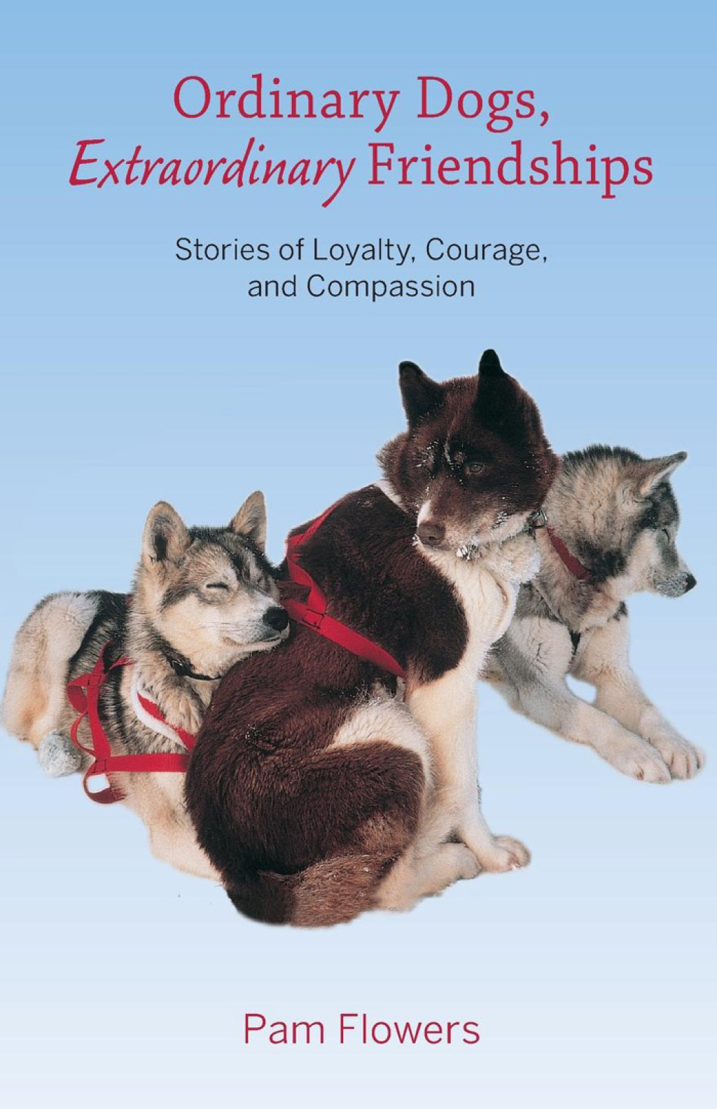 Ordinary Dogs, Extraordinary Friendships Stories of Loyalty, Courage, and Compassion 1st Edition