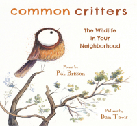 Imagen de portada: Common Critters: The Wildlife in Your Neighborhood 9780884486916