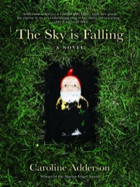 Cover image: The Sky Is Falling: A Novel 9780887626135