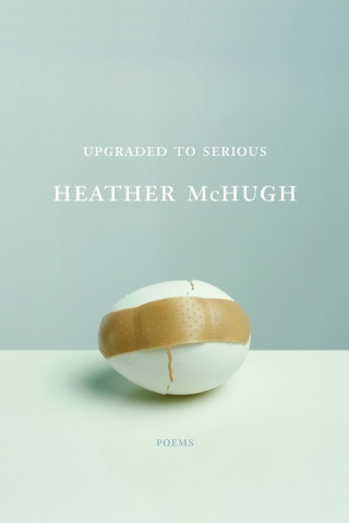 Cover image: Upgraded to Serious 9780887848414