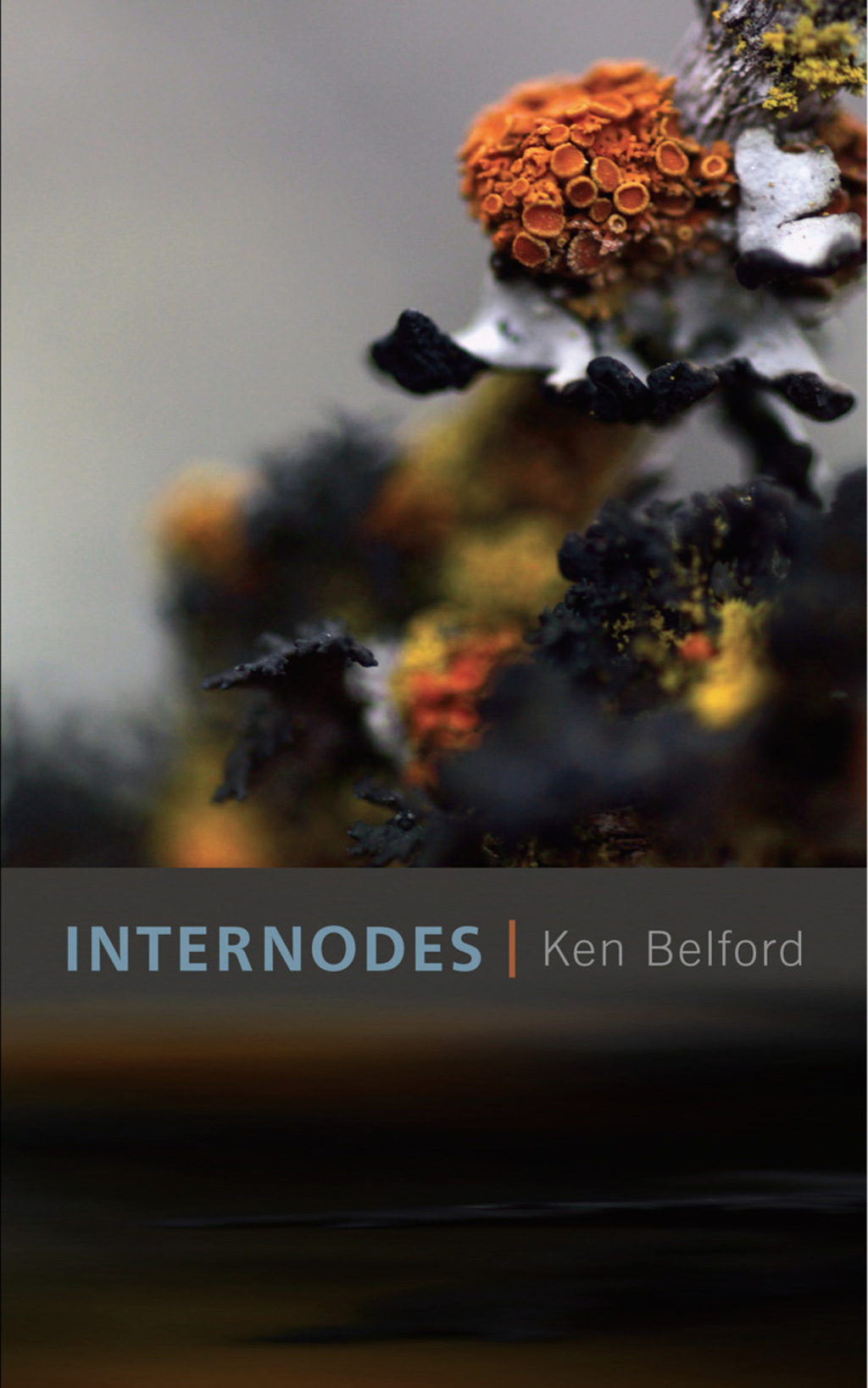 Internodes (eBook)