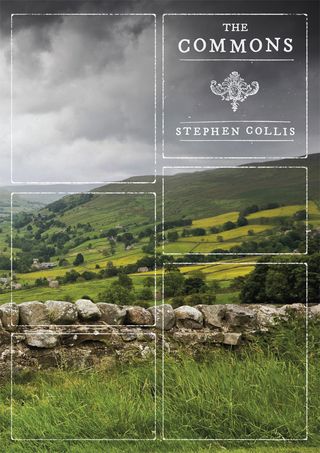 Cover image: The Commons 2nd edition 9780889229150