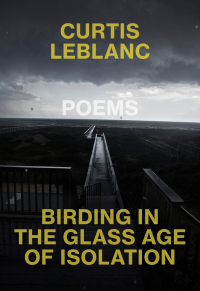 表紙画像: Birding in the Glass Age of Isolation 9780889713680