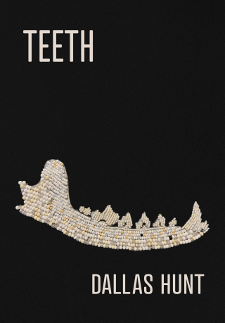 Imagen de portada: Teeth 9780889714526