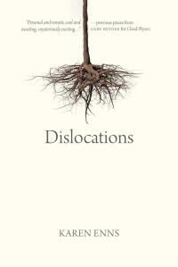 Imagen de portada: Dislocations 9780889779303