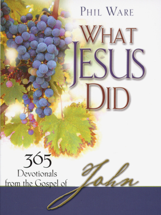 Imagen de portada: What Jesus Did 9780976779056