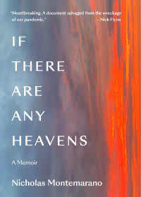 Imagen de portada: If There Are Any Heavens: A Memoir 9780892555574
