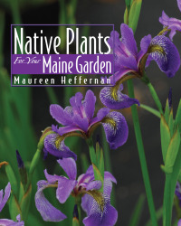 表紙画像: Native Plants for Your Maine Garden 9780892727865