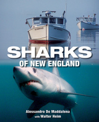 Imagen de portada: Sharks of New England 9780892728138