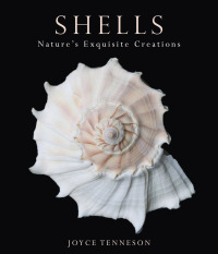 Cover image: Shells 9780892729760