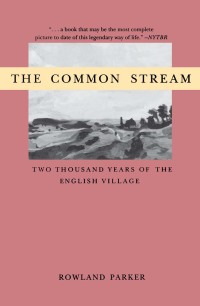 Cover image: The Common Stream 1st edition 9780897333917