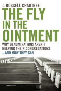 Imagen de portada: The Fly in the Ointment 9780898696066