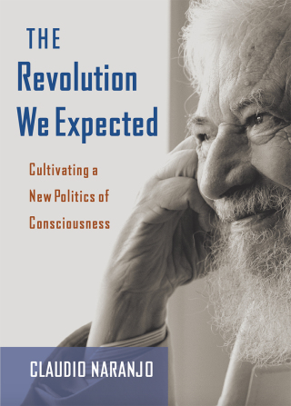 Imagen de portada: The Revolution We Expected 9780907791805