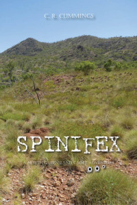 Cover image: Spinifex 1st edition 9780975614570