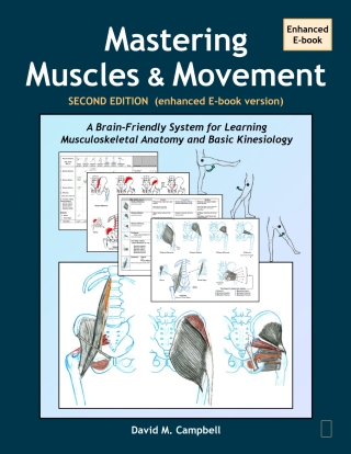 Cover image: Mastering Muscles and Movement - Enhanced Ebook 2nd edition 9780978866457