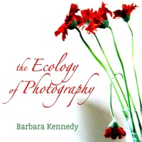 Imagen de portada: The Ecology of Photography