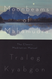 صورة الغلاف: Moonbeams of Mahamudra 1st edition 9780980502237