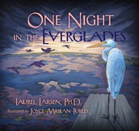 Imagen de portada: One Night in the Everglades 9780981770048