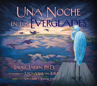 Cover image: Una Noche en los Everglades 9780981770086