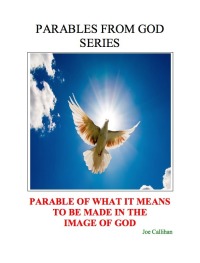 صورة الغلاف: Parables From God Series: Parable of What It Means to Be Made In The Image of God