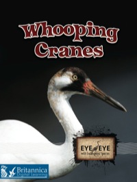 Imagen de portada: Whooping Cranes 1st edition 9781606944011