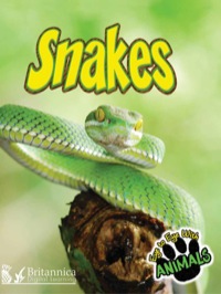 Cover image: Snakes 1st edition 9781617417764