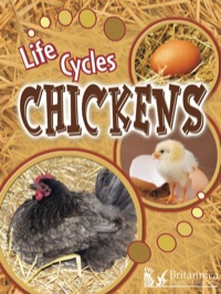Cover image: Chickens 1st edition 9781615903115