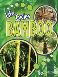 表紙画像: Bamboo 1st edition 9781615903061