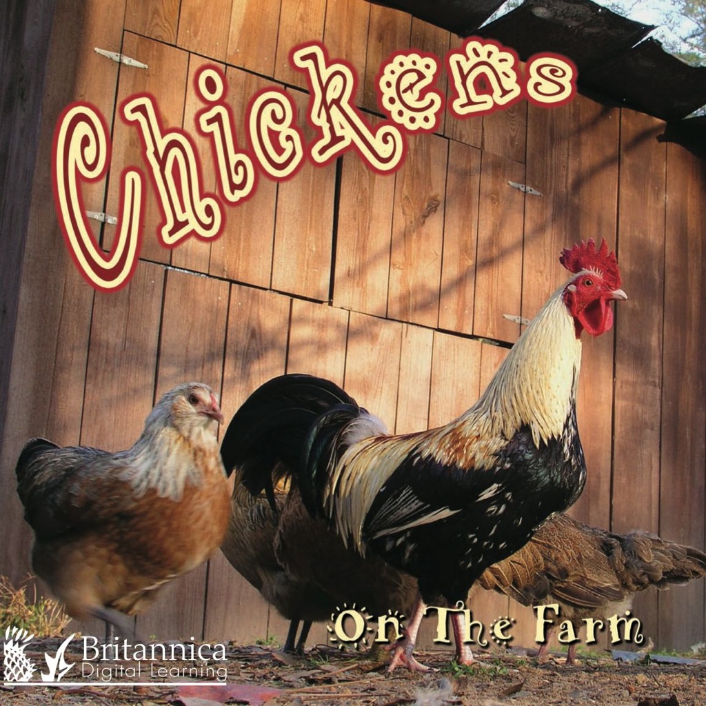 Chickens on the Farm 1st Edition