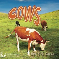 صورة الغلاف: Cows on the Farm 1st edition 9781615902651