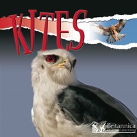 Cover image: Kites 1st edition 9781606943991