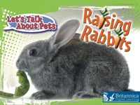 Imagen de portada: Raising Rabbits 1st edition 9781615902491