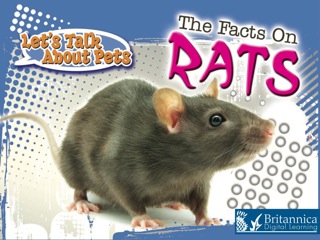 Omslagafbeelding: The Facts on Rats 1st edition 9781615902477