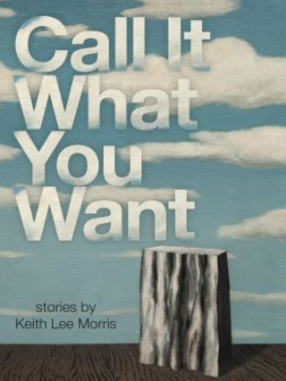 Cover image: Call it What You Want 9780982503089