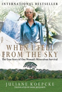 Cover image: When I Fell From the Sky 1st edition 9780983754701