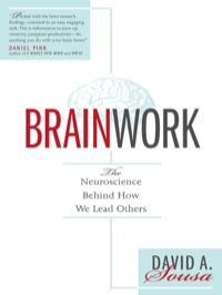 Titelbild: Brainwork 1st edition 9780983302032