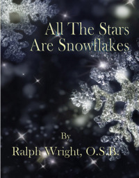 表紙画像: All The Stars Are Snowflakes