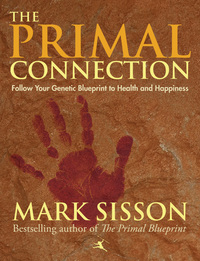 صورة الغلاف: The Primal Connection 1st edition