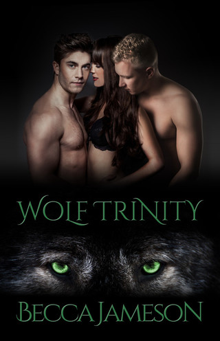 Cover image: Wolf Trinity 9780986336065