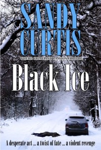 Cover image: Black Ice 9780987160478