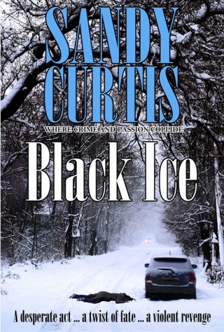 Imagen de portada: Black Ice 9780987160478