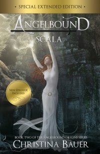 Cover image: Scala Special Edition 1st edition