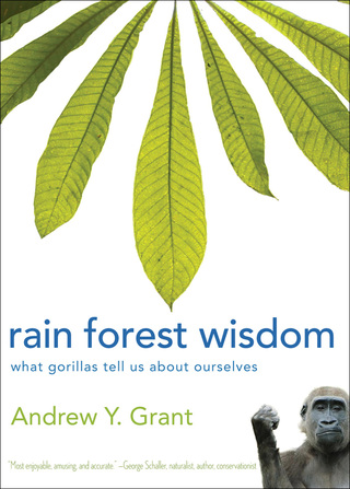 Omslagafbeelding: Rain Forest Wisdom 1st edition
