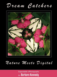 Cover image: DREAM CATCHERS  -  Nature Meets Digital