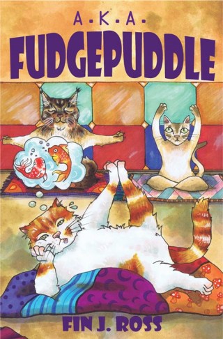 Cover image: A.K.A. Fudgepuddle 9780992329525