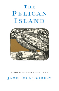 Imagen de portada: The Pelican Island 9780992422066